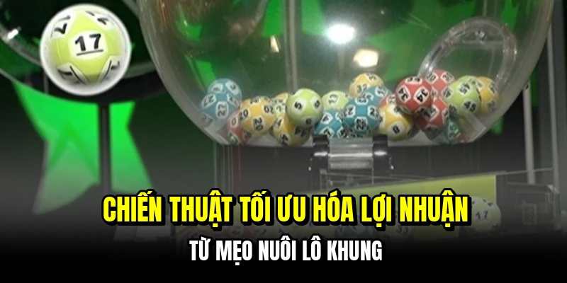 Chiến thuật tối ưu hóa lợi nhuận từ mẹo nuôi lô khung