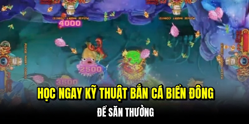 Học ngay kỹ thuật bắn cá biển đông để săn thưởng